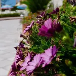 Elite Bed & Breakfast 3*