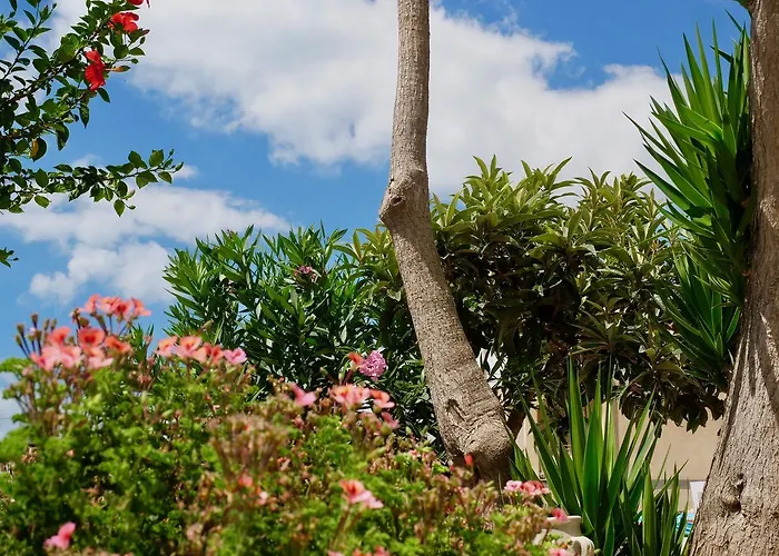 Elite Frühstückspension