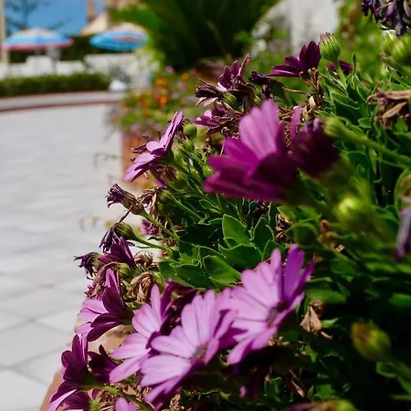 Elite Bed and breakfast 3*